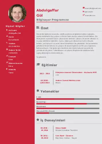 Bilgisayar Programcısı CV Örnekleri cv indir